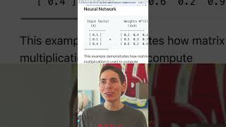 Matrix Multiplication in Neural Networks [upl. by Jojo264]