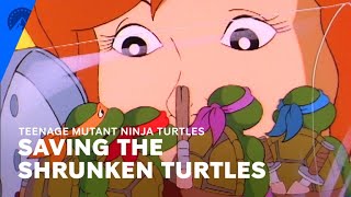 Teenage Mutant Ninja Turtles 1987  Saving The Shrunken Turtles S2 E2  Paramount [upl. by Htenay]