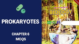 Prokaryotes exercise mcqs chapter 6 Sindh board Prokaryotes mcqs [upl. by Tate]