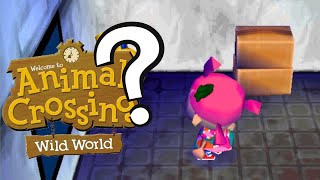 Animal Crossing Wild World  A New Face [upl. by Coretta919]