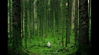 Kiruna the north of Sweden [upl. by Aneehta435]