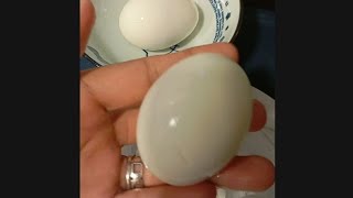 🔴LIVE CRACKING ampPEELING EGGS🥚🥚 TRENDING [upl. by Kenzi426]