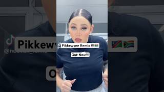 Pikkewyne Remix Out Now namibia amapiano afrikaans [upl. by Tekcirk]