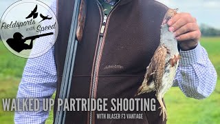 Partridge Shooting  Walked up Partridge with the Blaser F3 Vantage  Lots of Birds  Eley Hawk [upl. by Sitruc417]