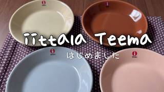 【開封動画】iittala ティーマの食器をはじめて購入しました [upl. by Malas]