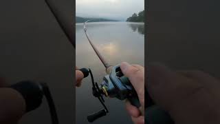 Phopper plopper bass smallmouth bassfishing smallmouthbassfishing catchandrelease topwater [upl. by Bahe]