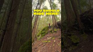 One of the gnarliest North Shore trails [upl. by Frayda]