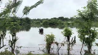 Biyagama Siyabalape junction to peragas junction rainy day 20241014 [upl. by Nicky]