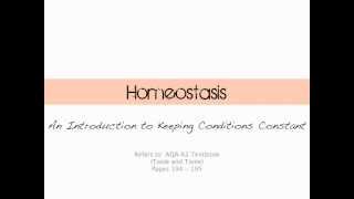 Introduction to Homeostasis [upl. by Bastien]