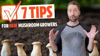 Top 7 Tips For Aspiring Mushroom Growers If Youve Never Grown Before [upl. by Nehtanhoj]