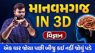 Human Brain in 3D Std 10 Science માનવમગજ in 3D Human Brain Expalin in 3D Hiren Sir [upl. by Helen]