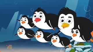 Five Little Penguins  Penguins Song  Nursery Rhymes  Children Rhyme [upl. by Adabelle]