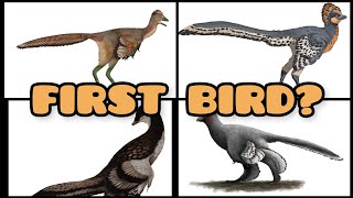 WHOS THE FIRST BIRD  NEW DINOSAUR DISCOVERY  Fujianvenator prodigiosus  dinosaur bird [upl. by Apgar728]