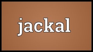 Jackal Meaning [upl. by Ezeerb194]