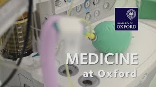 Medicine at Oxford University [upl. by Lairea]