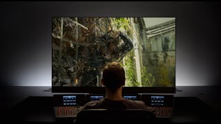 Panasonic 2019 OLED The Choice of Filmmakers And Film Lovers [upl. by Hatokad]