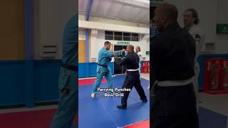 Parrying Straight PUNCHES demo  wing chun pak sau jujitsu MMA BJJ self defence [upl. by Licht692]