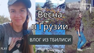 Кайфую от весны в Грузии лучший парк Тбилиси один день со STAYSY I Тбилиси VLOG [upl. by Akinwahs]