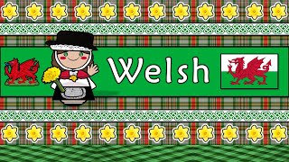 WELSH PEOPLE CULTURE amp LANGUAGE [upl. by Grata]