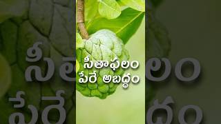 సీతాఫలం పేరు అబద్ధం shorts trending history facts [upl. by Atinek]