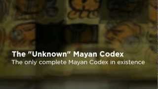 The quotUnknownquot Mayan Codex [upl. by Dodie671]