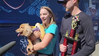 Wiener dogs race for glory in Cincinnati [upl. by Malim]