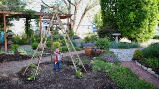 Making a Fun Trellis For Benjamin 🌼💚 Garden Answer [upl. by Moriarty675]