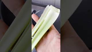 NEW Tribest Greenstar 5 Juicer Review Greenstar5juicer Greenstar5 TribestGreenstar5 GS5juicer [upl. by Phelps]