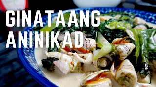 How to Cook Ginataang Aninikad  Sea Shell in Coconut Milk [upl. by Argella]