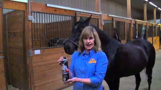 Absorbine UltraShield EX  Fly Spray For Horses [upl. by Gaelan]