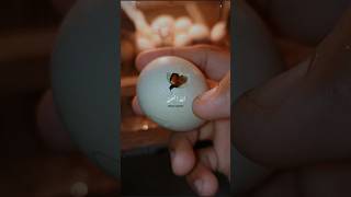 Chick hatching from egghen chicken baby chickenlife rooster love [upl. by Gertrud]