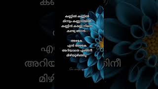 കണ്ണിൽ കണ്ണിൽ മിന്നും കണ്ണാടിയിൽ 🍃gourishankaramkavyamadhavanmalayalamlyrics [upl. by Karney243]