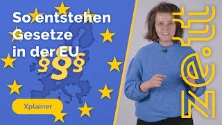 So entstehen Gesetze in der Europäischen Union [upl. by Atteuqram]