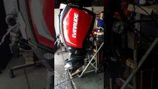 Evinrude ETEC G2 250 Hp [upl. by Corilla]