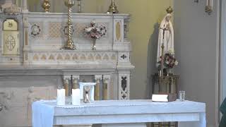 The Immaculate Conception Catholic Church  Live stream [upl. by Simone]