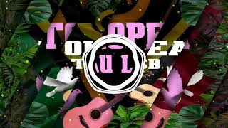 Tokopea Tau Local String Band  Hannah 🔥🍺🇻🇺 [upl. by Collar]