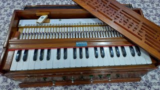 Antique Dwarkin Bass Male Palitana Reed Harmonium  Old Harmonium For Sale SOLD OUT [upl. by Esnohpla653]