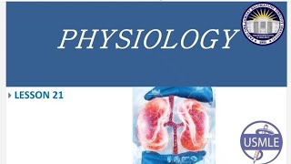 Renal physiology [upl. by Senilec]