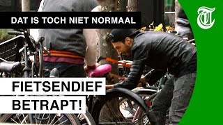 Bejaarde man pakt fietsendief aan  DAT IS TOCH NIET NORMAAL 06 [upl. by Remat]