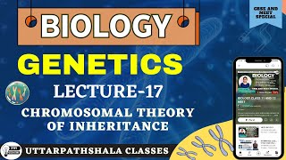 CHROMOSOMAL THEORY OF INHERITANCE  PRINCIPLES OF INHERITANCE CLASS 12 neet biology genetics [upl. by Colner400]