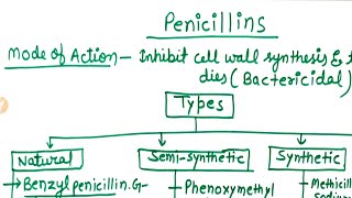 penicillin classification [upl. by Leftwich]