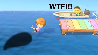 Best ANIMAL CROSSING New Horizons Clips 141 [upl. by Aara]