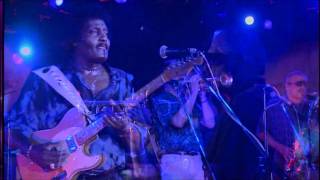 Albert Collins  05 Too Many Dirty Dishes HD [upl. by Hillard836]