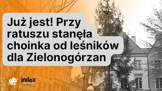 wZielonejpl  Już jest Przy ratuszu stanęła choinka od leśników dla Zielonogórzan [upl. by Wey895]