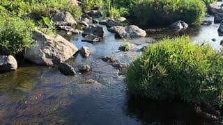 Urban Waterway  Kedron Brook Riffling  Near Kedron AFL [upl. by Khajeh]