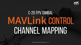 XF C20 Channel Mapping MAVLink Control [upl. by Plumbo]