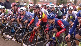 Cyclocross Merksplas Men Elite 50fps 16 Nov 2024 [upl. by Jillie956]