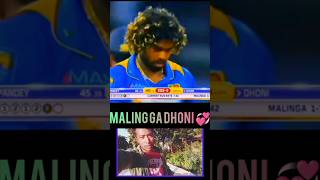 Malinga vs M s dhoni shortvideoformat motivation hindivlog cricket [upl. by Yenoh]