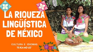 La riqueza lingüística de México 🌮  TEKAMOLO [upl. by Danice]