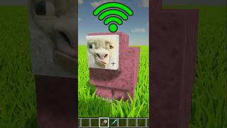 sheep with different WiFi [upl. by Harold]